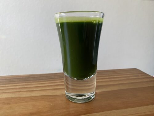 Wheatgrass Shot